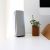 How Technology Is Redefining Workplace Culture and Productivity